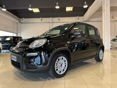 Fiat Panda 1.0 FireFly S&S Hybrid SOLI 5.300 KM PREZZO REALE Nero usata Cortemaggiore