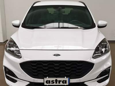 Ford Kuga 1.5 ecoblue ST-Line 2wd 120cv auto Bianco usata Arona