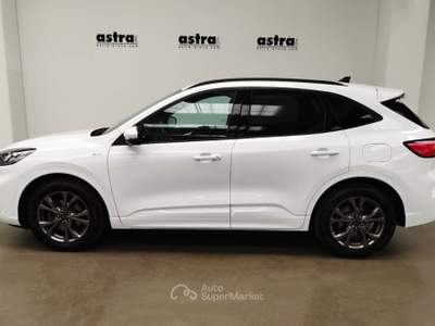 Ford Kuga 1.5 ecoblue ST-Line 2wd 120cv auto Bianco usata Arona