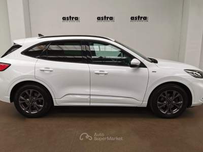 Ford Kuga 1.5 ecoblue ST-Line 2wd 120cv auto Bianco usata Arona