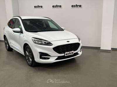 Ford Kuga 1.5 ecoblue ST-Line 2wd 120cv auto Bianco usata Arona