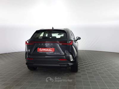 Lexus NX NX Hybrid 4WD Business Nero usata Verona