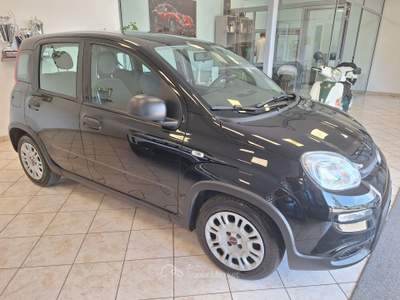 Fiat Panda FireFly S&S Hybrid Nero usata Castel Gandolfo