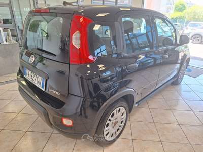 Fiat Panda FireFly S&S Hybrid Nero usata Castel Gandolfo