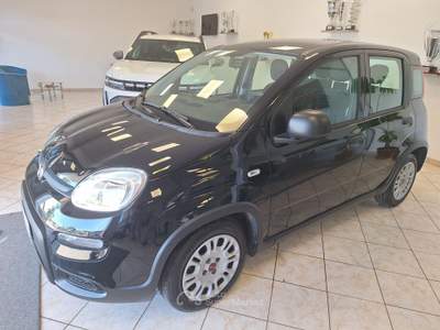 Fiat Panda FireFly S&S Hybrid Nero usata Castel Gandolfo