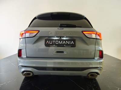 Ford Kuga 1.5 ecoblue ST-Line 2wd 120cv auto Argento usata Porto San Giorgio