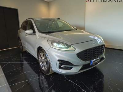 Ford Kuga 1.5 ecoblue ST-Line 2wd 120cv auto Argento usata Porto San Giorgio