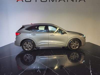 Ford Kuga 1.5 ecoblue ST-Line 2wd 120cv auto Argento usata Porto San Giorgio