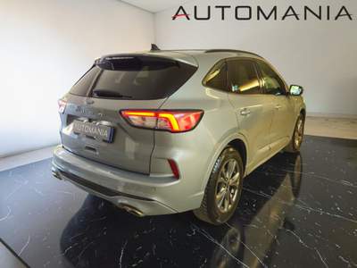 Ford Kuga 1.5 ecoblue ST-Line 2wd 120cv auto Argento usata Porto San Giorgio