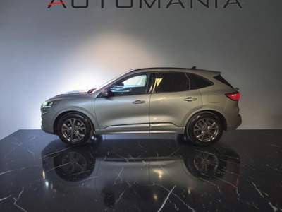 Ford Kuga 1.5 ecoblue ST-Line 2wd 120cv auto Argento usata Porto San Giorgio