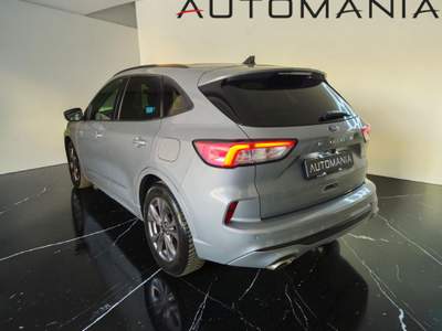 Ford Kuga 1.5 ecoblue ST-Line 2wd 120cv auto Argento usata Porto San Giorgio