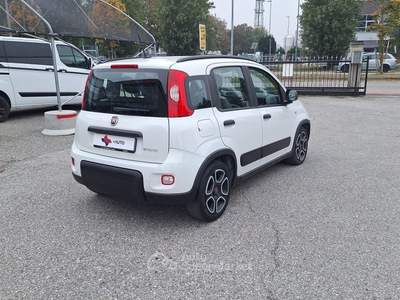 Fiat Panda FireFly S&S Hybrid City Life Bianco usata Fossano