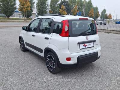 Fiat Panda FireFly S&S Hybrid City Life Bianco usata Fossano