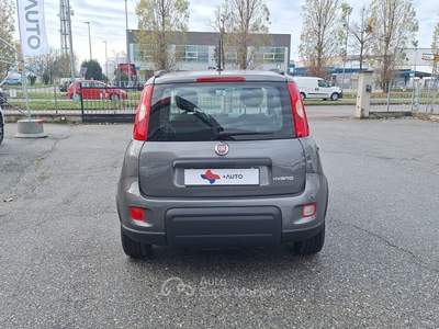 Fiat Panda FireFly S&S Hybrid City Life Grigio usata Fossano