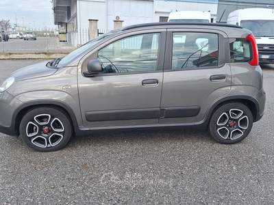 Fiat Panda FireFly S&S Hybrid City Life Grigio usata Fossano