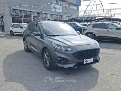 Ford Kuga EcoBlue 120 CV 2WD ST-Line Grigio usata Fossano