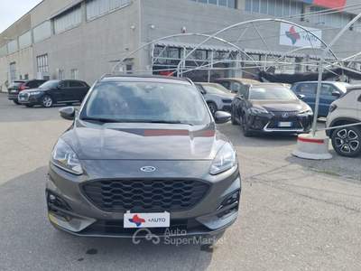 Ford Kuga EcoBlue 120 CV 2WD ST-Line Grigio usata Fossano