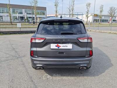 Ford Kuga EcoBlue 120 CV 2WD ST-Line Grigio usata Fossano