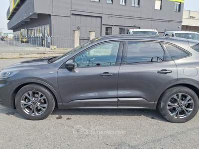 Ford Kuga EcoBlue 120 CV 2WD ST-Line Grigio usata Fossano