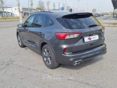 Ford Kuga EcoBlue 120 CV 2WD ST-Line Grigio usata Fossano