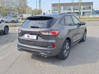 Ford Kuga EcoBlue 120 CV 2WD ST-Line Grigio usata Fossano