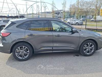 Ford Kuga EcoBlue 120 CV 2WD ST-Line Grigio usata Fossano