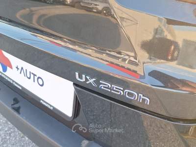 Lexus UX 250h Hybrid Business SOLI KM 43000 !!!! Nero usata Fossano