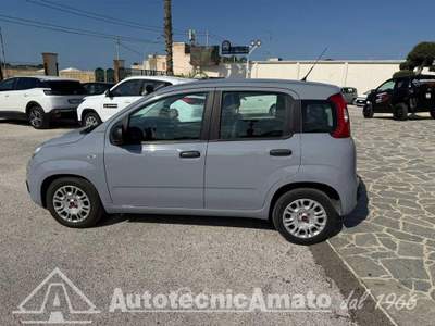Fiat Panda 1.0 FireFly S&S Hybrid Grigio usata Marsala