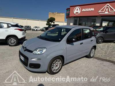 Fiat Panda 1.0 FireFly S&S Hybrid Grigio usata Marsala