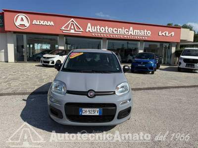 Fiat Panda 1.0 FireFly S&S Hybrid Grigio usata Marsala