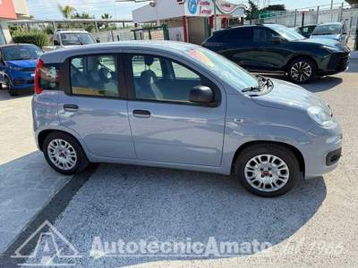 Fiat Panda 1.0 FireFly S&S Hybrid Grigio usata Marsala