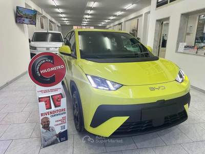 BYD Dolphin Surf 43,2 kWh Boost Giallo usata MESAGNE