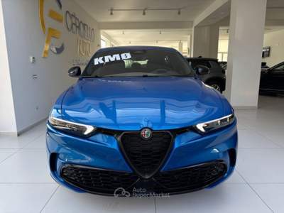 Alfa Romeo Tonale 1.6 diesel 130 CV TCT6 Sprint TUA DA €349,00  Blu/Azzurro usata Somma Vesuviana