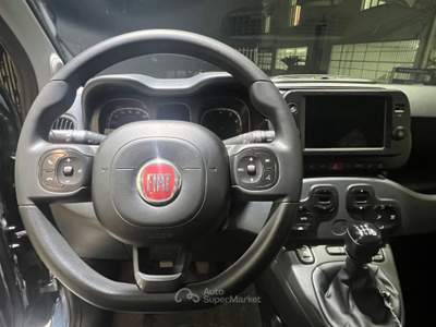 Fiat Panda 1.0 FireFly S&S Hybrid City Cross Grigio usata Somma Vesuviana