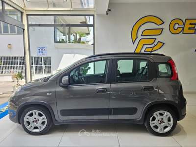 Fiat Panda 1.0 FireFly S&S Hybrid City Life da €129,00 mensil Grigio usata Somma Vesuviana