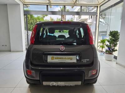 Fiat Panda 1.0 FireFly S&S Hybrid City Life da €129,00 mensil Grigio usata Somma Vesuviana