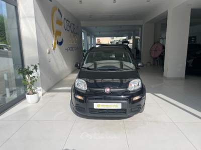 Fiat Panda 1.0 FireFly S&S Hybrid City Life da €129,00 mensil Nero usata Somma Vesuviana