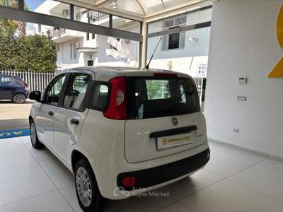 Fiat Panda 1.0 FireFly S&S Hybrid da €119,00 mensili  Bianco usata Somma Vesuviana