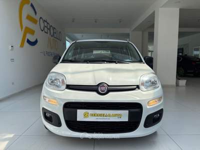 Fiat Panda 1.0 FireFly S&S Hybrid da €119,00 mensili  Bianco usata Somma Vesuviana