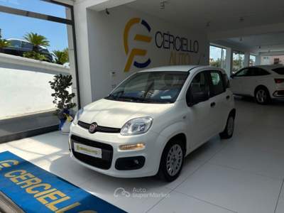 Fiat Panda 1.0 FireFly S&S Hybrid da €119,00 mensili  Bianco usata Somma Vesuviana