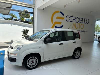 Fiat Panda 1.0 FireFly S&S Hybrid da €119,00 mensili  Bianco usata Somma Vesuviana