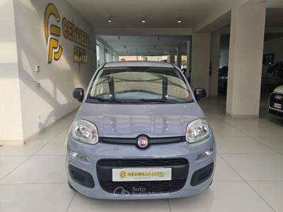 Fiat Panda 1.0 FireFly S&S Hybrid da €119,00 mensili  Grigio usata Somma Vesuviana