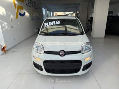 Fiat Panda 1.0 FireFly S&S Hybrid Pop da €139,00 mensili  Bianco usata Somma Vesuviana