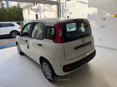 Fiat Panda 1.0 FireFly S&S Hybrid Pop da €139,00 mensili  Bianco usata Somma Vesuviana
