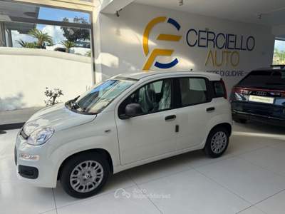 Fiat Panda 1.0 FireFly S&S Hybrid Pop da €139,00 mensili  Bianco usata Somma Vesuviana