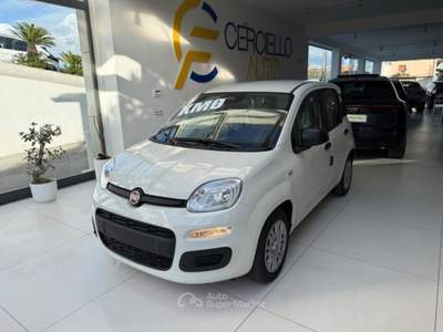 Fiat Panda 1.0 FireFly S&S Hybrid Pop da €139,00 mensili  Bianco usata Somma Vesuviana