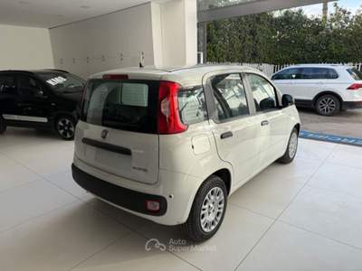 Fiat Panda 1.0 FireFly S&S Hybrid Pop da €139,00 mensili  Bianco usata Somma Vesuviana