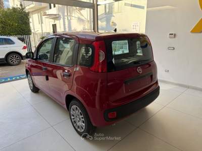 Fiat Panda 1.0 FireFly S&S Hybrid Pop da €139,00 mensili  Rosso usata Somma Vesuviana