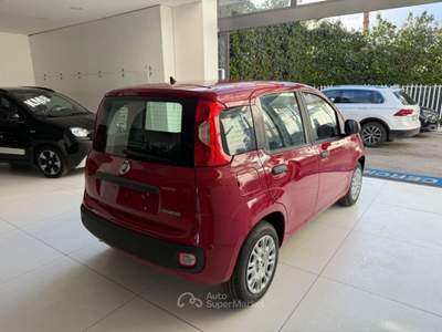 Fiat Panda 1.0 FireFly S&S Hybrid Pop da €139,00 mensili  Rosso usata Somma Vesuviana