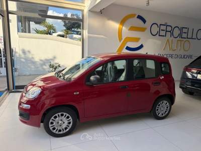 Fiat Panda 1.0 FireFly S&S Hybrid Pop da €139,00 mensili  Rosso usata Somma Vesuviana